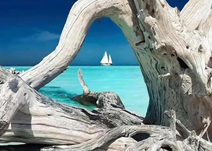 Maison&piscine Privée Vue Panoramique Très Calme Indépendant Porto Vecchio